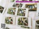 A bunch of polaroids that are laying on a table.